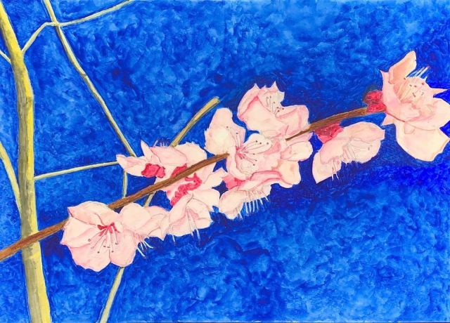 ああー桜

#森塗装
#森塗装株式会社
#春
#桜
#水彩画