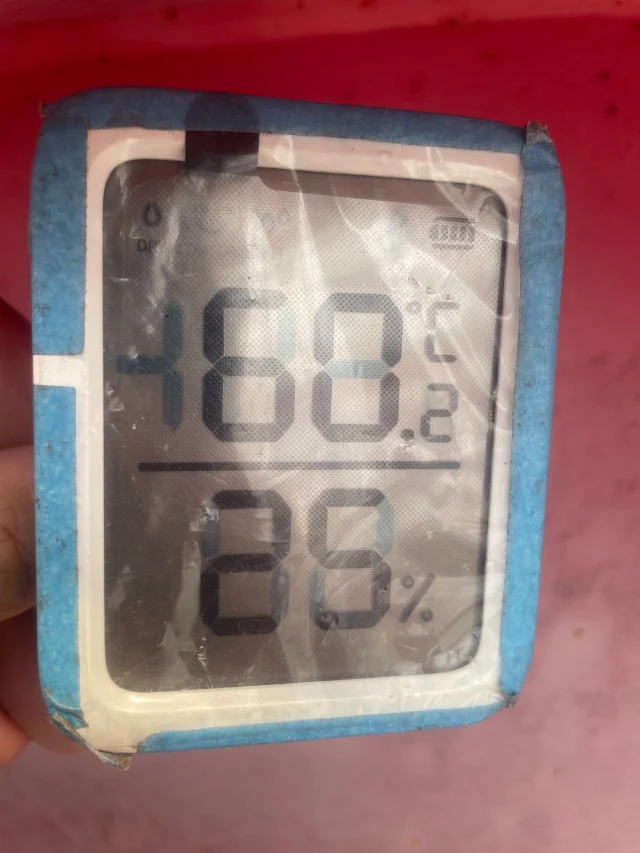 60.2℃(養生済施工現場最上段)
タフな職人さんが、10分もいられない場所
温度計の液晶も滲んで壊れかけてます😇
さて、ここをどうやって作業するか、、、
#森塗装株式会社 #森塗装 #宮崎市
#塗装 #塗装工 #ペンキ屋 #paint #painter
#橋梁塗装 #橋 #橋梁 #塗り替え
#干支大橋 #宮崎県延岡市
t.u